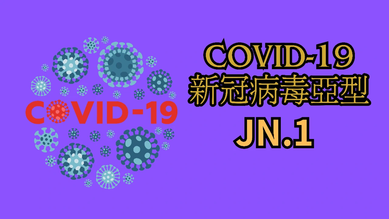 COVID-19 JN.1