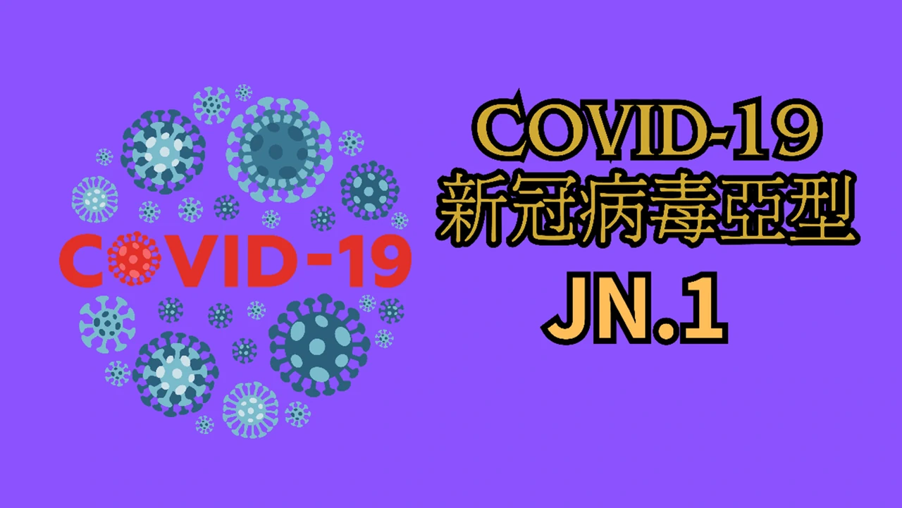 What is COVID-19 JN.1?