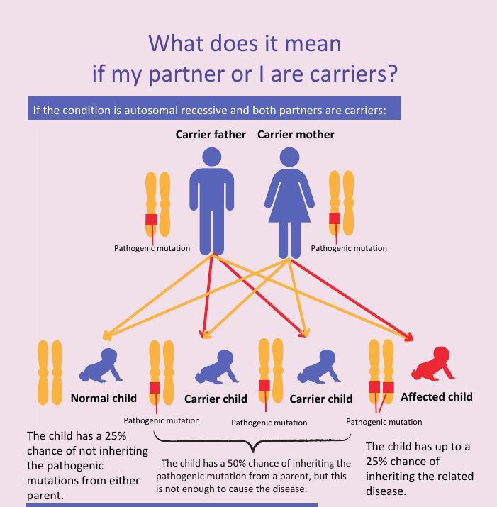 If both partners are carriers of an autosomal recessive condition