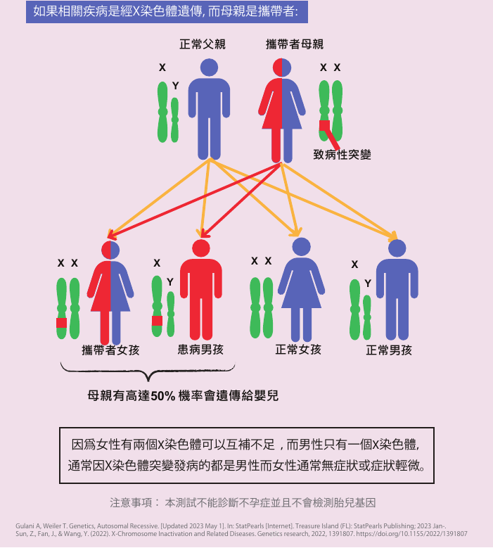 如果母親是 X 連鎖疾病攜帶者